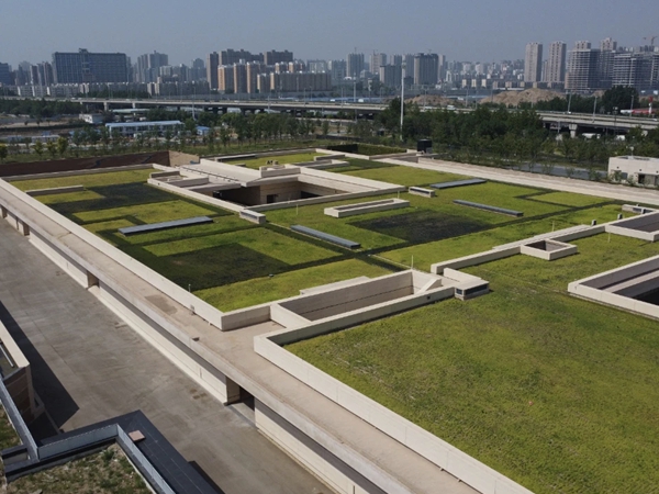博物馆文物展柜